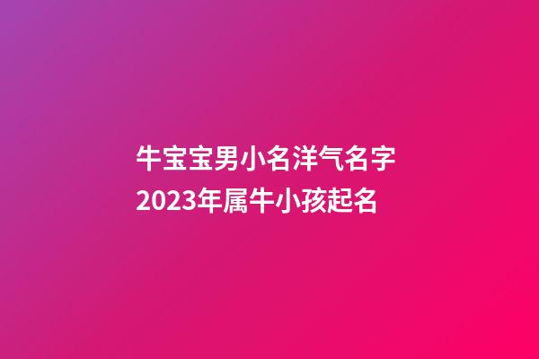 牛宝宝男小名洋气名字 2023年属牛小孩起名